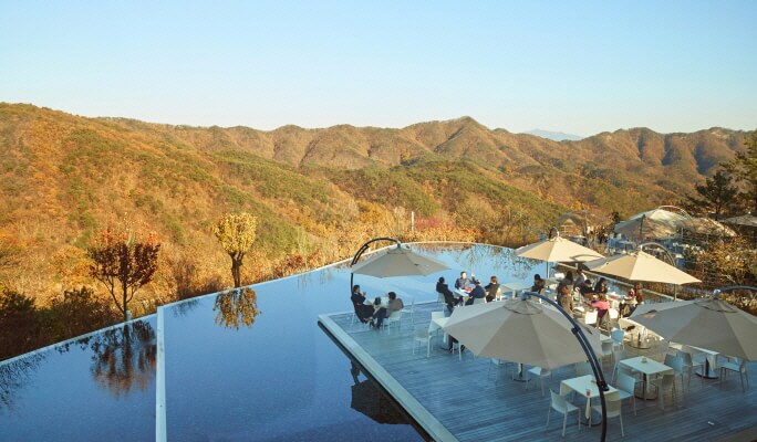 [Gangwon Wonderland] Relaxing Nature Escape Gangwon Tour from Seoul